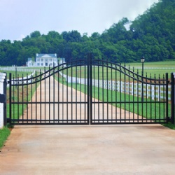 Arched Simple Wrought Iron Gate